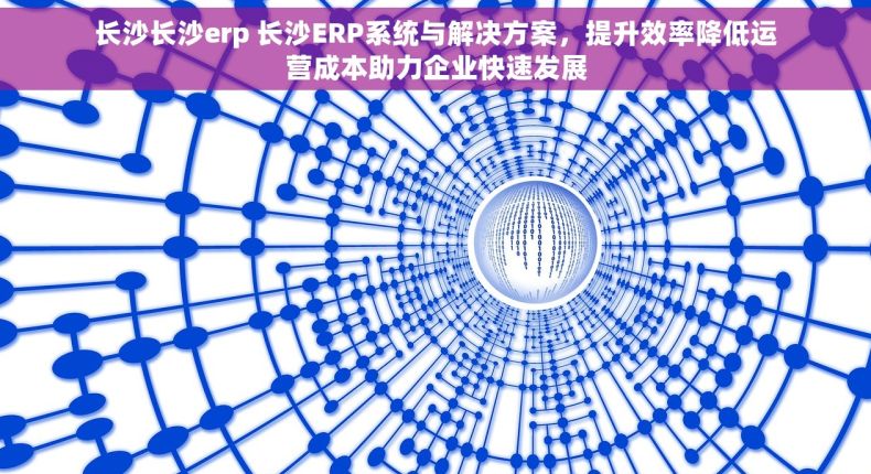 长沙长沙erp 长沙ERP系统与解决方案，提升效率降低运营成本助力企业快速发展
