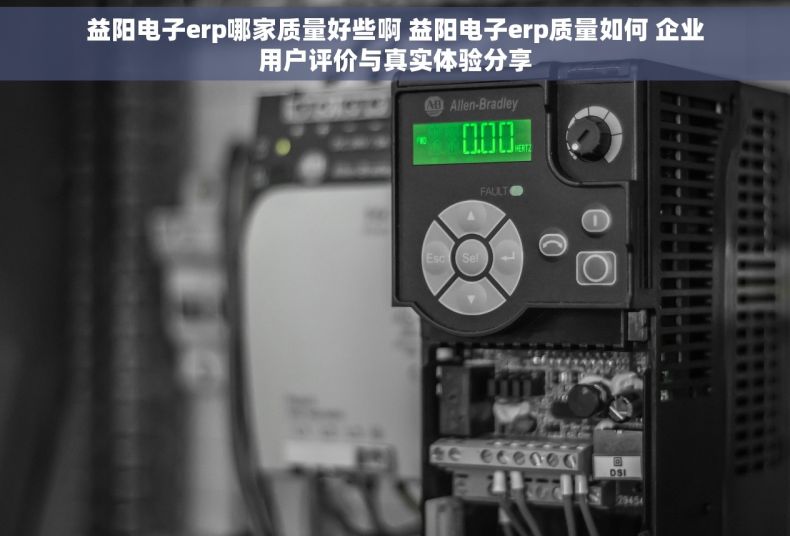 益阳电子erp哪家质量好些啊 益阳电子erp质量如何 企业用户评价与真实体验分享