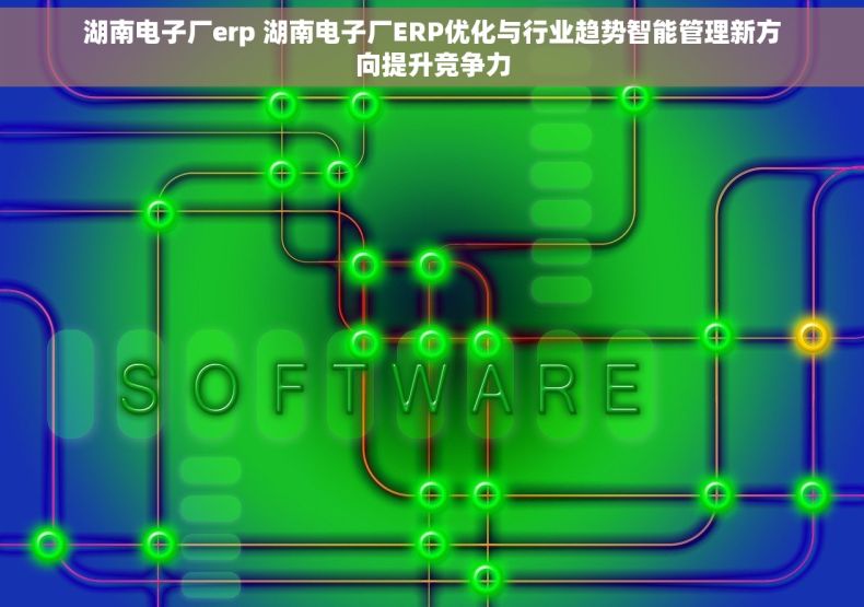 湖南电子厂erp 湖南电子厂ERP优化与行业趋势智能管理新方向提升竞争力