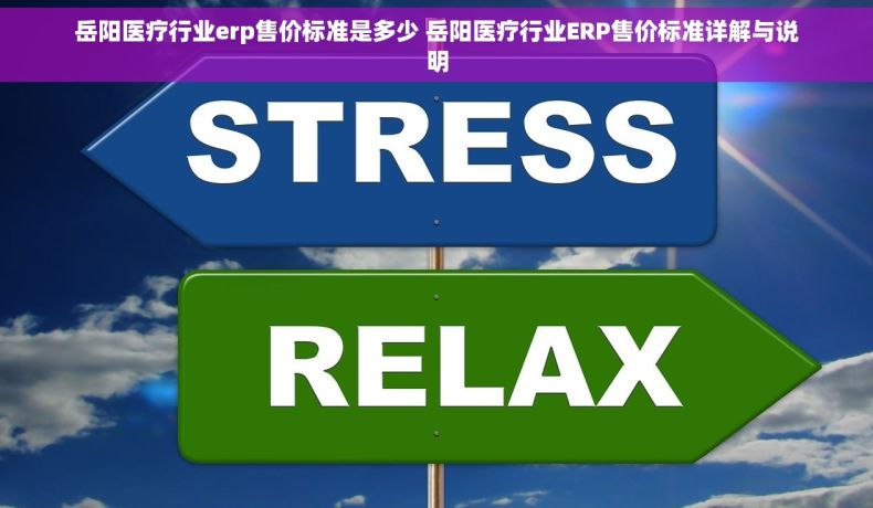 岳阳医疗行业erp售价标准是多少 岳阳医疗行业ERP售价标准详解与说明