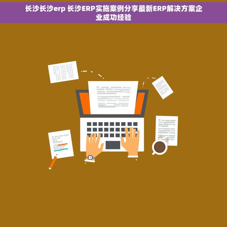 长沙长沙erp 长沙ERP实施案例分享最新ERP解决方案企业成功经验