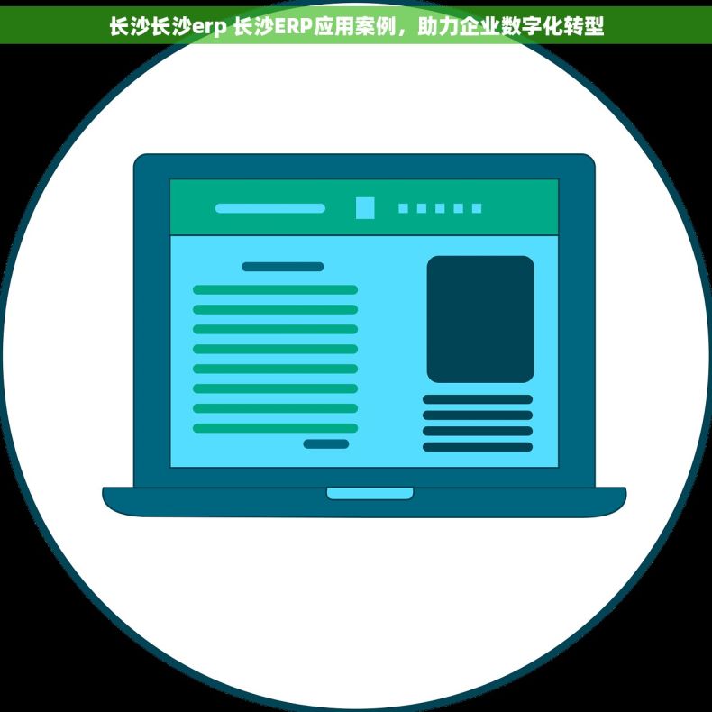 长沙长沙erp 长沙ERP应用案例，助力企业数字化转型