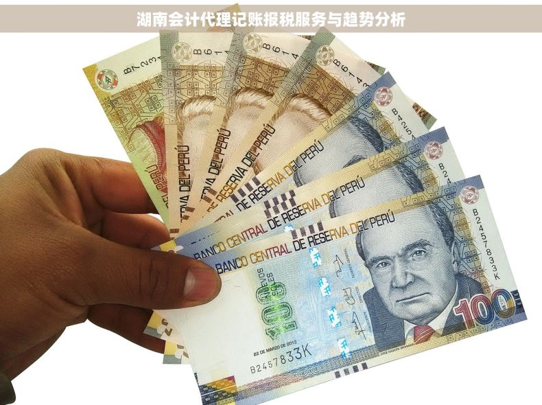 湖南会计代理记账报税服务与趋势分析