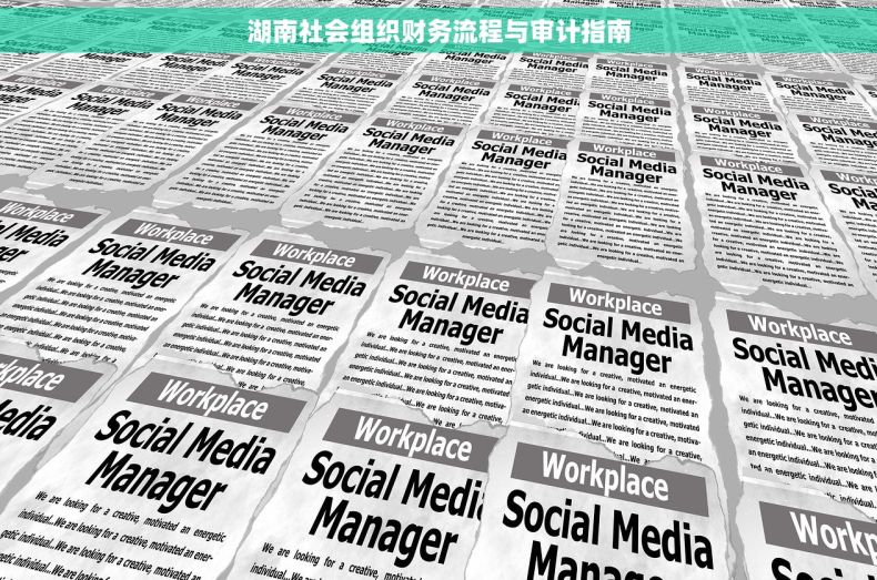 湖南社会组织财务流程与审计指南