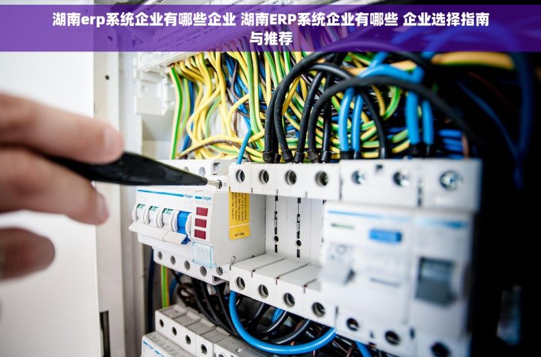 湖南erp系统企业有哪些企业 湖南ERP系统企业有哪些 企业选择指南与推荐