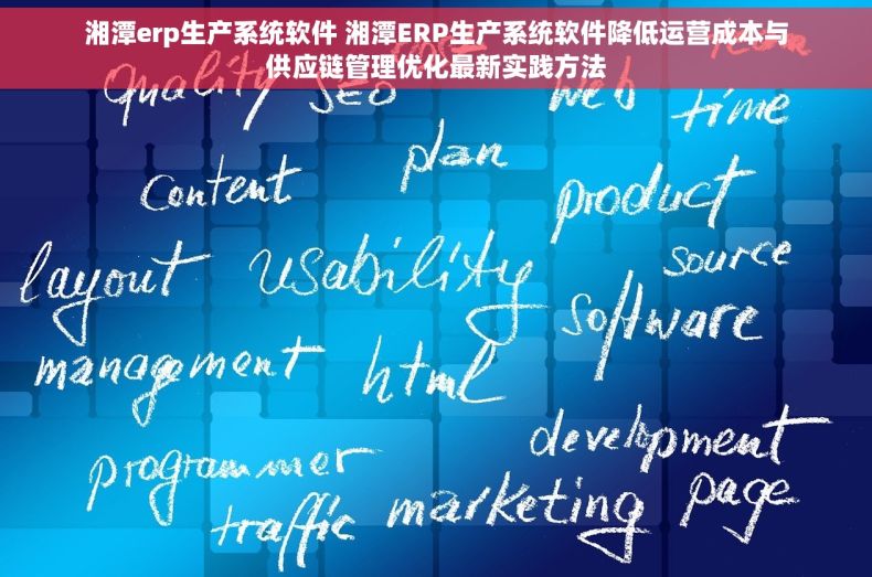 湘潭erp生产系统软件 湘潭ERP生产系统软件降低运营成本与供应链管理优化最新实践方法