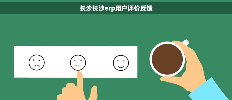 长沙长沙erp用户评价反馈