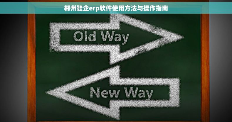 郴州鞋企erp软件使用方法与操作指南