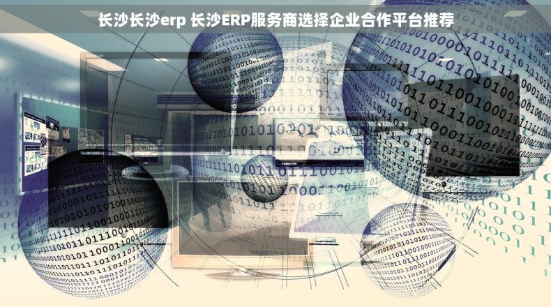 长沙长沙erp 长沙ERP服务商选择企业合作平台推荐