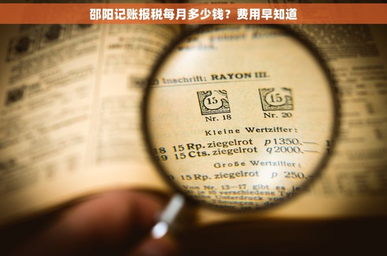 邵阳记账报税每月多少钱？费用早知道