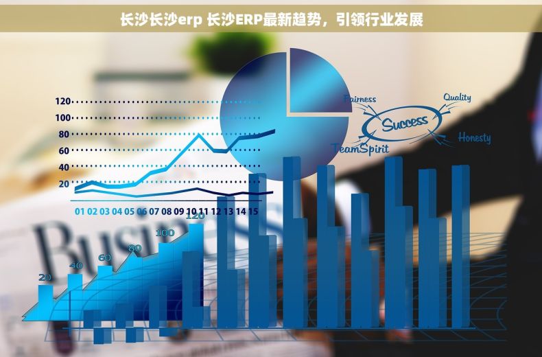 长沙长沙erp 长沙ERP最新趋势，引领行业发展