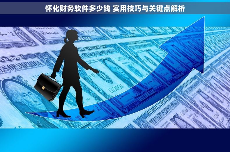 怀化财务软件多少钱 实用技巧与关键点解析