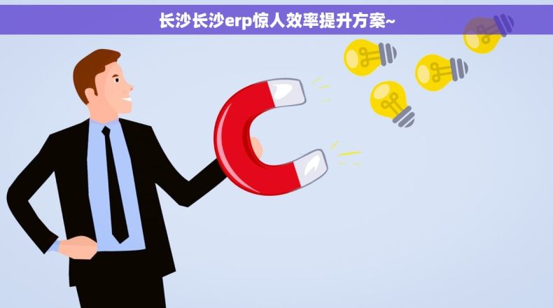 长沙长沙erp惊人效率提升方案~