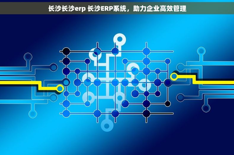 长沙长沙erp 长沙ERP系统，助力企业高效管理