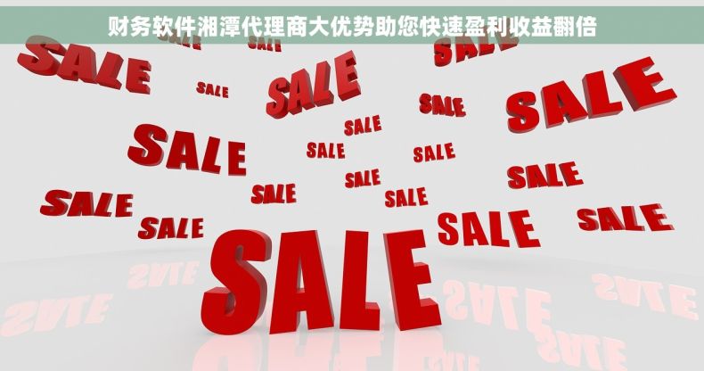 财务软件湘潭代理商大优势助您快速盈利收益翻倍
