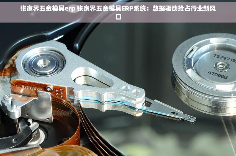 张家界五金模具erp 张家界五金模具ERP系统：数据驱动抢占行业新风口