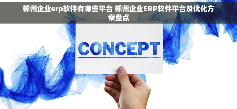 郴州企业erp软件有哪些平台 郴州企业ERP软件平台及优化方案盘点