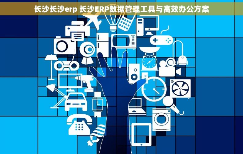 长沙长沙erp 长沙ERP数据管理工具与高效办公方案