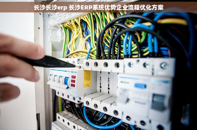 长沙长沙erp 长沙ERP系统优势企业流程优化方案