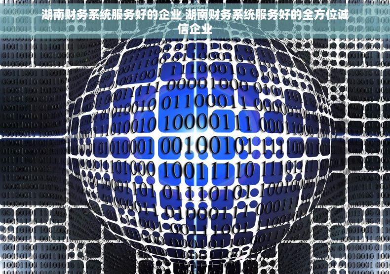 湖南财务系统服务好的企业 湖南财务系统服务好的全方位诚信企业