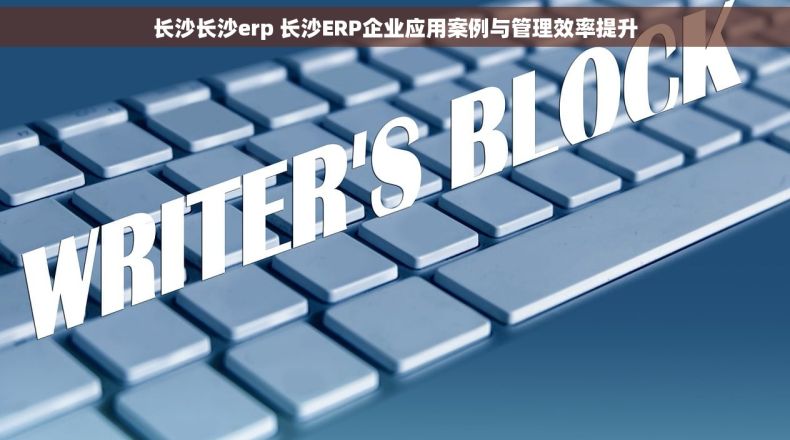 长沙长沙erp 长沙ERP企业应用案例与管理效率提升