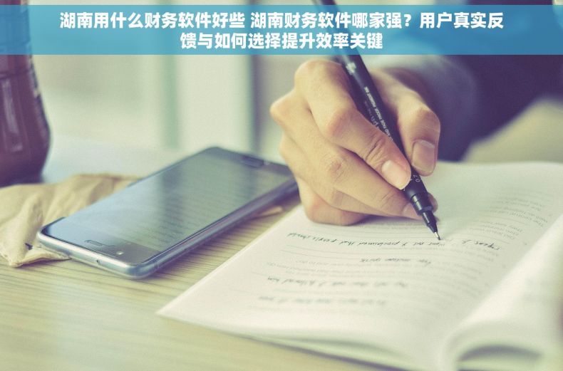 湖南用什么财务软件好些 湖南财务软件哪家强？用户真实反馈与如何选择提升效率关键
