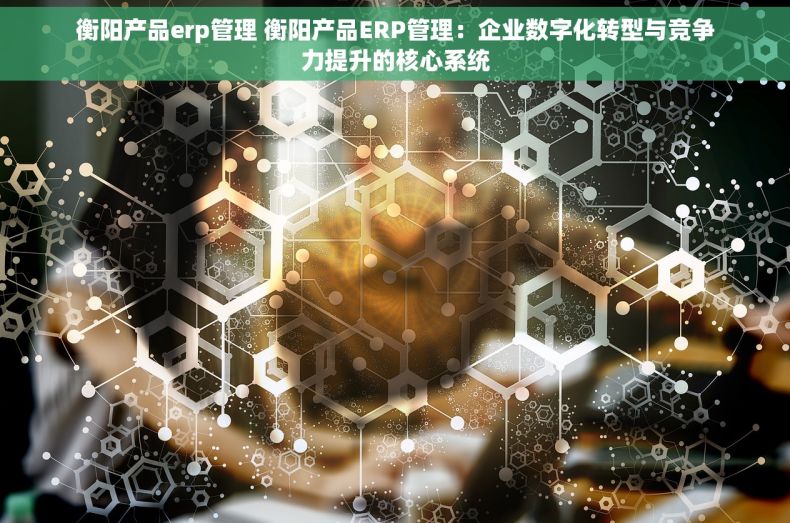 衡阳产品erp管理 衡阳产品ERP管理：企业数字化转型与竞争力提升的核心系统