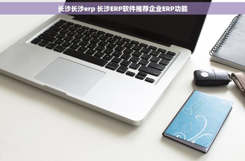 长沙长沙erp 长沙ERP软件推荐企业ERP功能