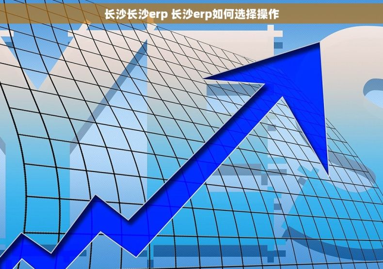 长沙长沙erp 长沙erp如何选择操作