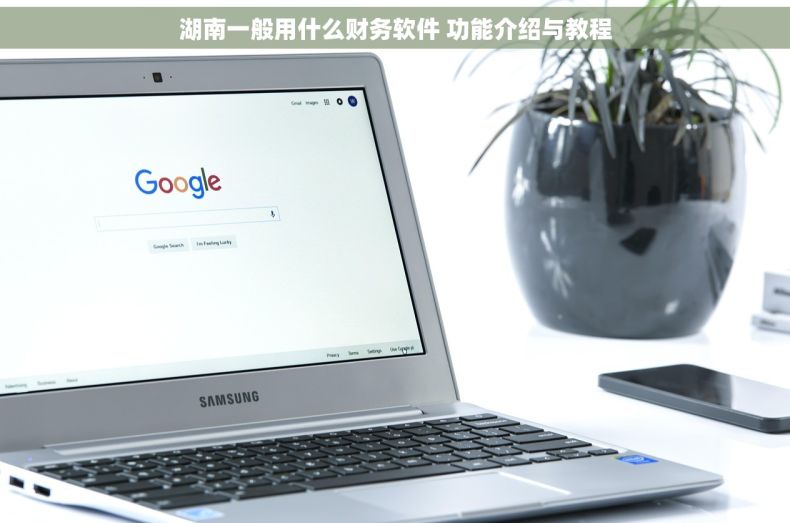 湖南一般用什么财务软件 功能介绍与教程