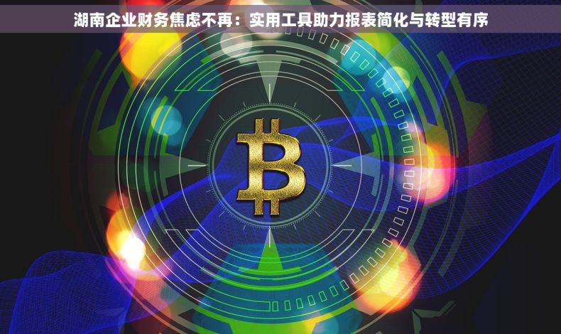 湖南企业财务焦虑不再：实用工具助力报表简化与转型有序
