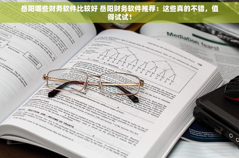 岳阳哪些财务软件比较好 岳阳财务软件推荐：这些真的不错，值得试试！