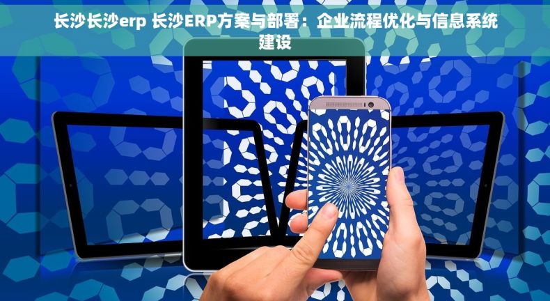 长沙长沙erp 长沙ERP方案与部署：企业流程优化与信息系统建设