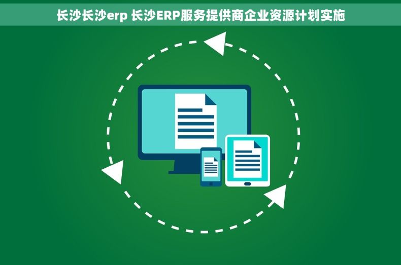 长沙长沙erp 长沙ERP服务提供商企业资源计划实施