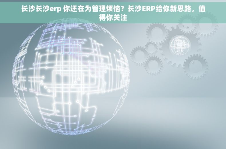 长沙长沙erp 你还在为管理烦恼？长沙ERP给你新思路，值得你关注