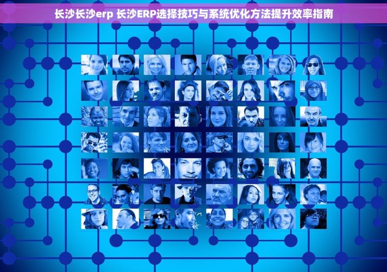 长沙长沙erp 长沙ERP选择技巧与系统优化方法提升效率指南