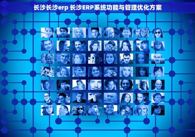 长沙长沙erp 长沙ERP系统功能与管理优化方案