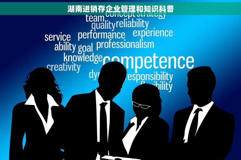 湖南进销存企业管理和知识科普
