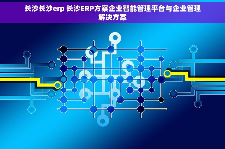 长沙长沙erp 长沙ERP方案企业智能管理平台与企业管理解决方案