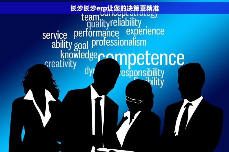 长沙长沙erp让您的决策更精准
