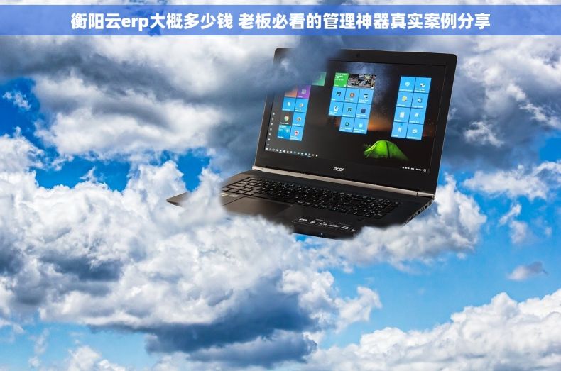 衡阳云erp大概多少钱 老板必看的管理神器真实案例分享