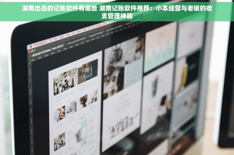 湖南出品的记账软件有哪些 湖南记账软件推荐：小本经营与老板的收支管理神器