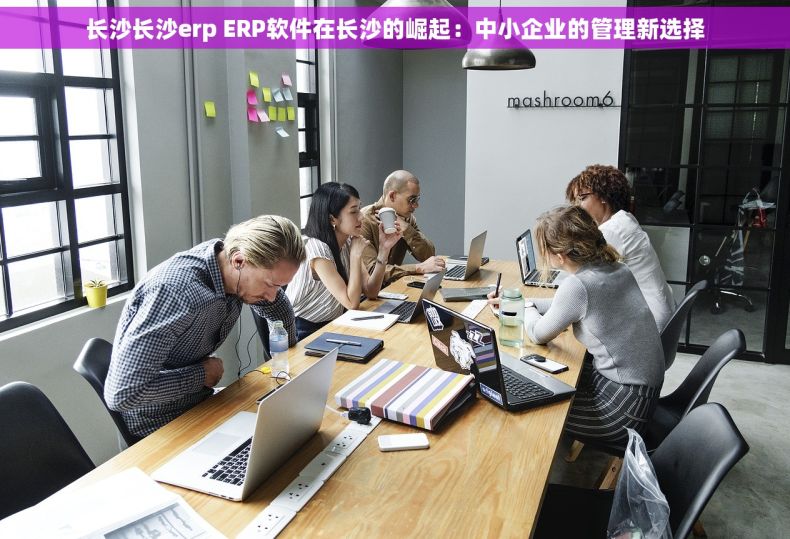 长沙长沙erp ERP软件在长沙的崛起：中小企业的管理新选择