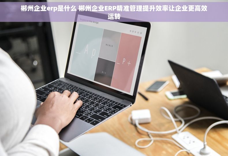 郴州企业erp是什么 郴州企业ERP精准管理提升效率让企业更高效运转