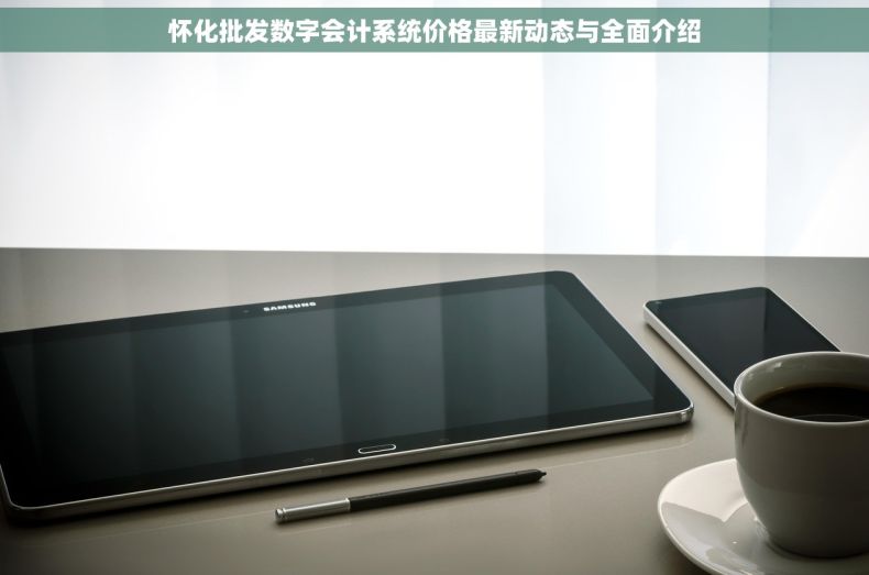 怀化批发数字会计系统价格最新动态与全面介绍