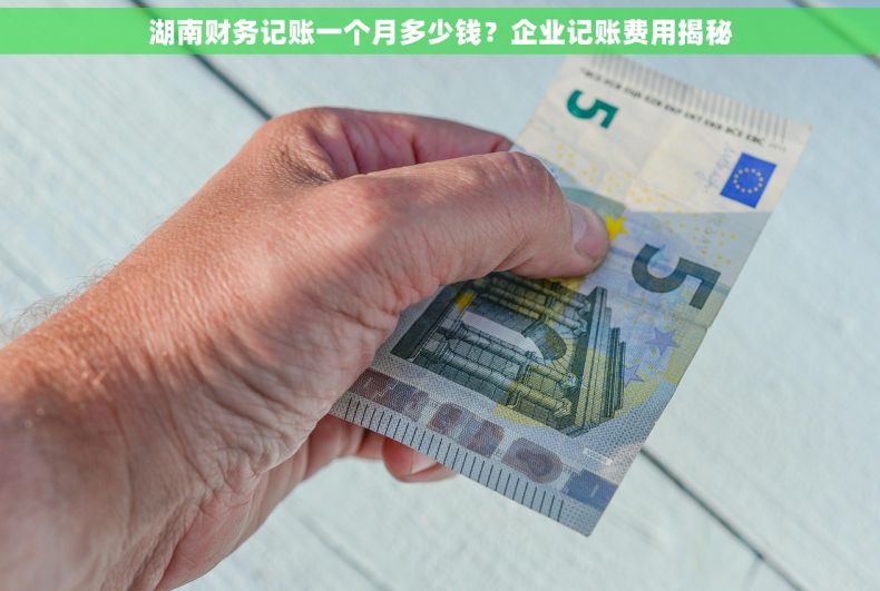 湖南财务记账一个月多少钱？企业记账费用揭秘