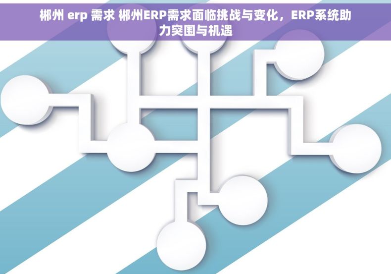 郴州 erp 需求 郴州ERP需求面临挑战与变化，ERP系统助力突围与机遇