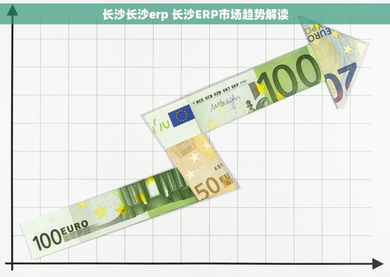 长沙长沙erp 长沙ERP市场趋势解读