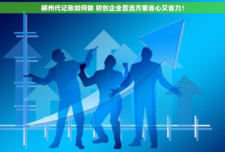 郴州代记账如何做 初创企业首选方案省心又省力！