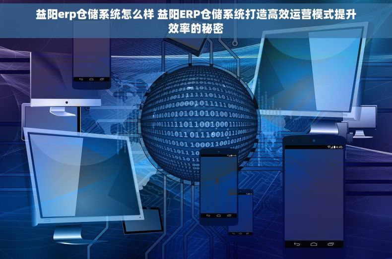 益阳erp仓储系统怎么样 益阳ERP仓储系统打造高效运营模式提升效率的秘密
